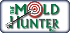 The Mold Hunter